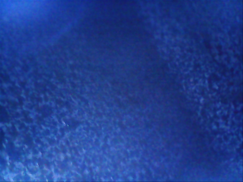Scope view- bottom of the tank